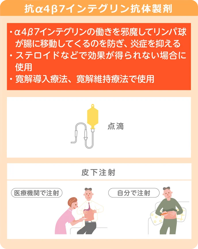 抗α4β7インテグリン抗体製剤・抗α4β7インテグリンの働きを邪魔してリンパ球が腸に移動してくるのを防ぎ、炎症を抑える・ステロイドなどで効果が得られない場合に使用